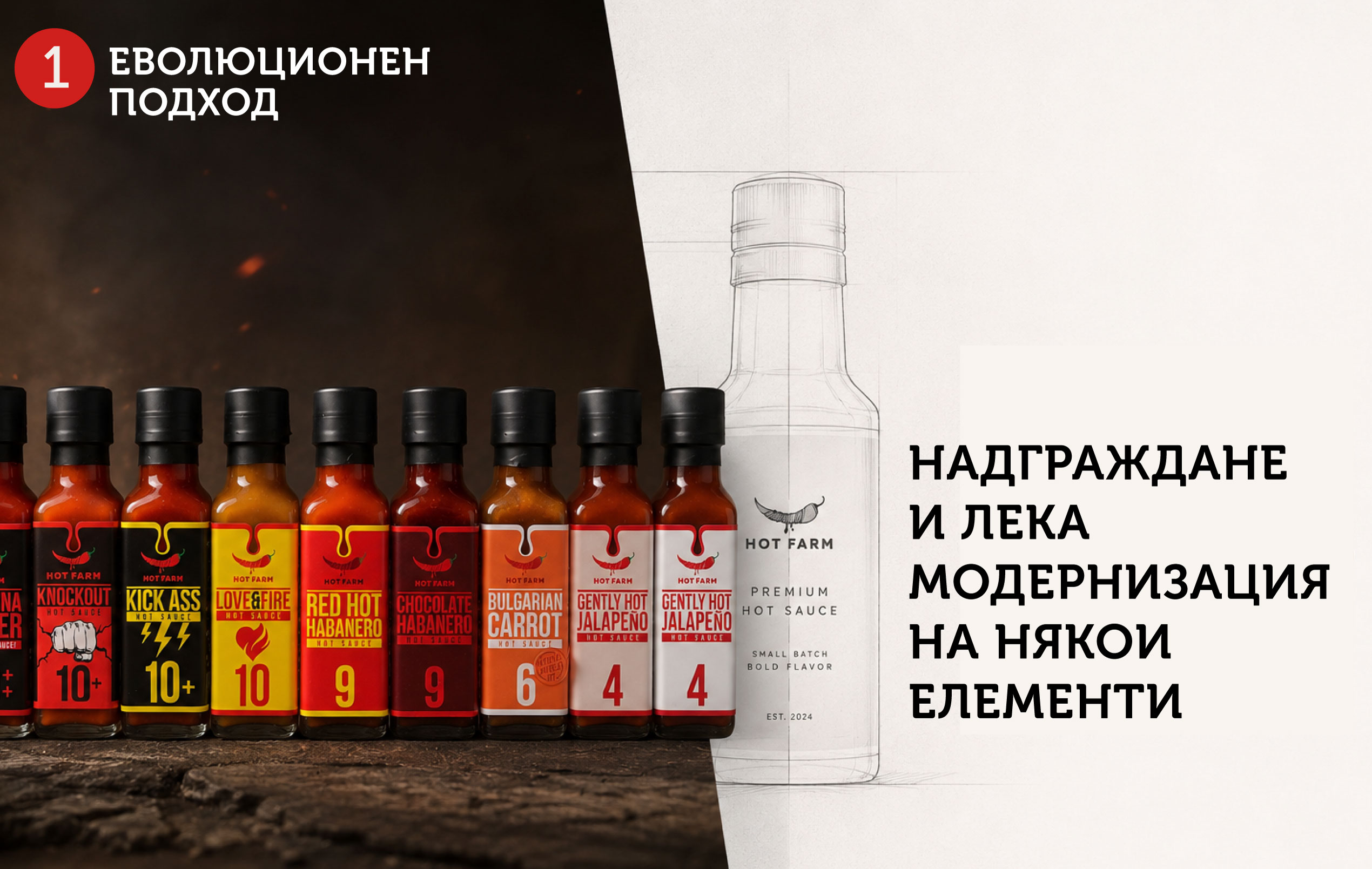 Analysis for the development of the visual communication of the HOT FARM brand
