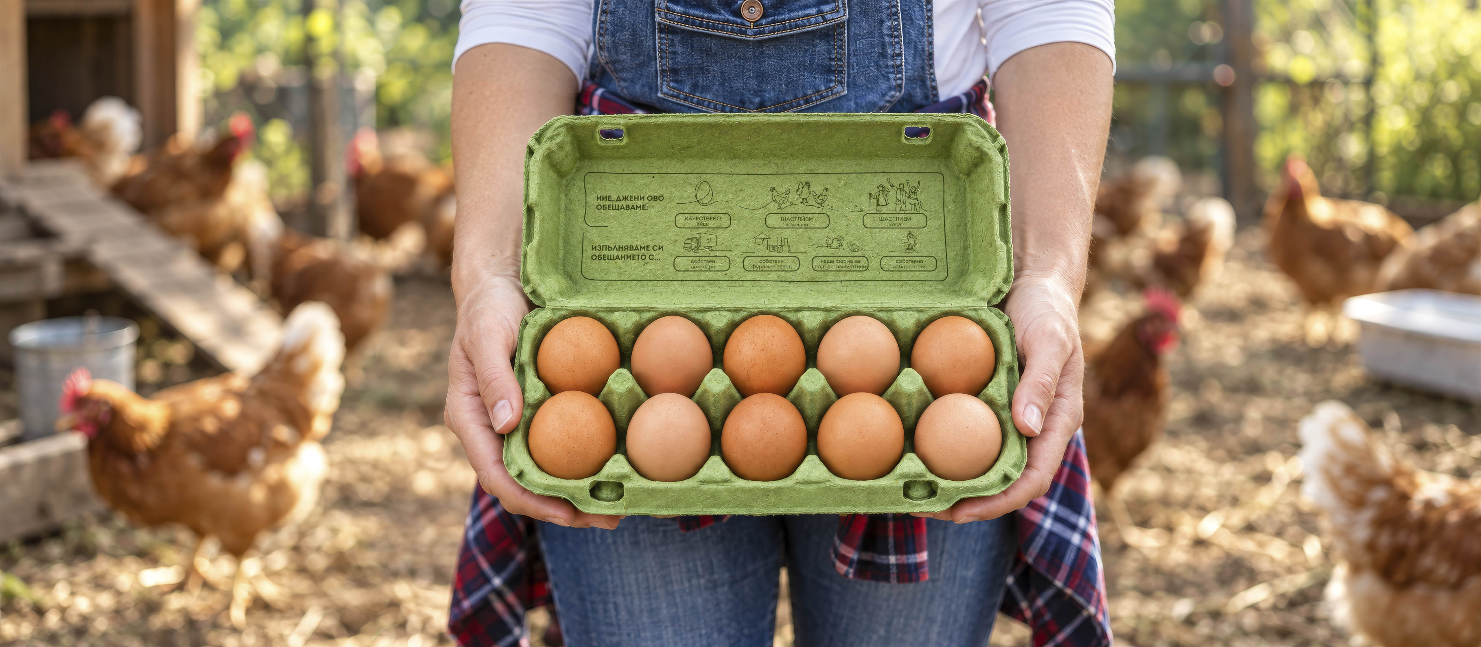 Djeni Eggs