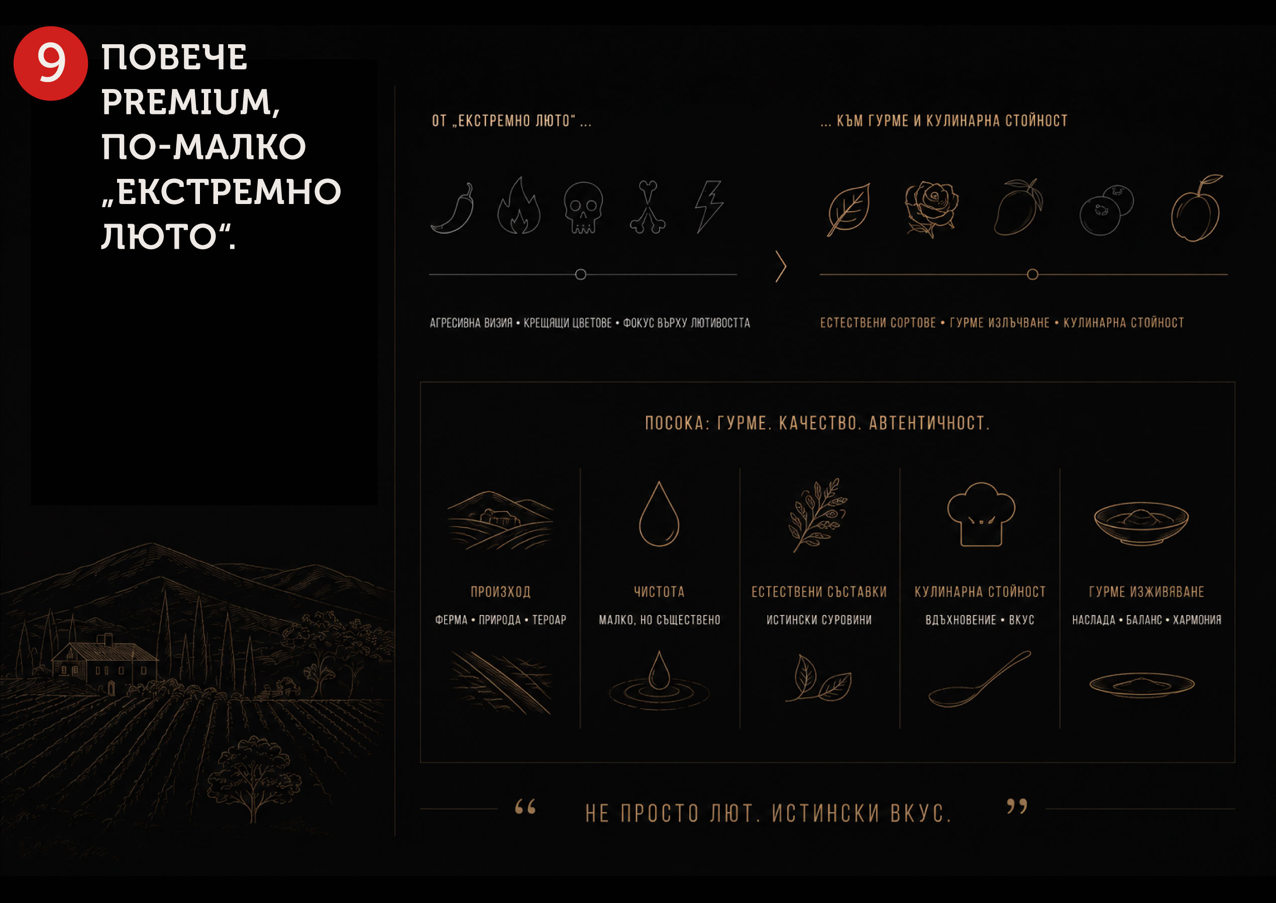 Analysis for the development of the visual communication of the HOT FARM brand