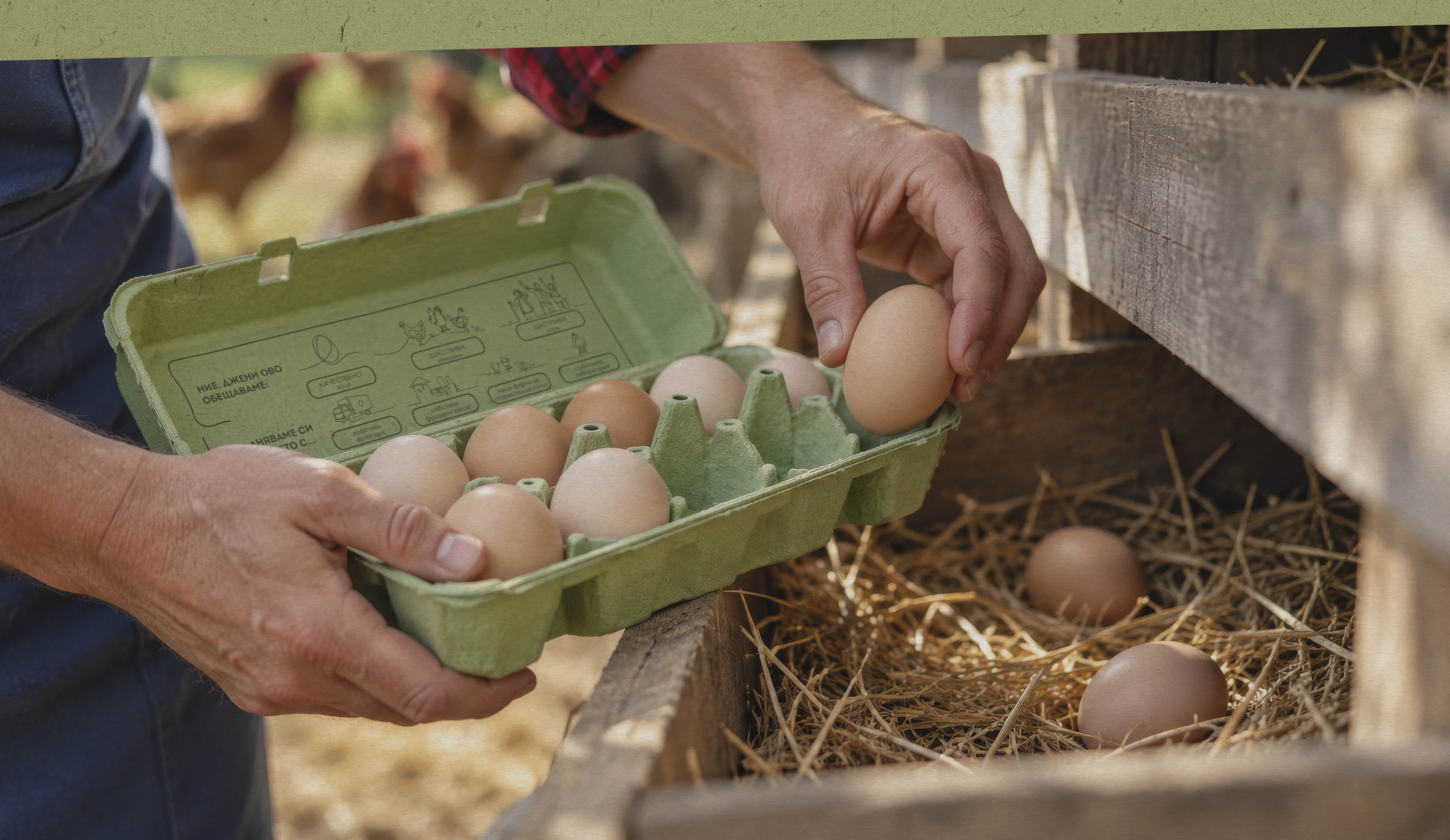Djeni Eggs