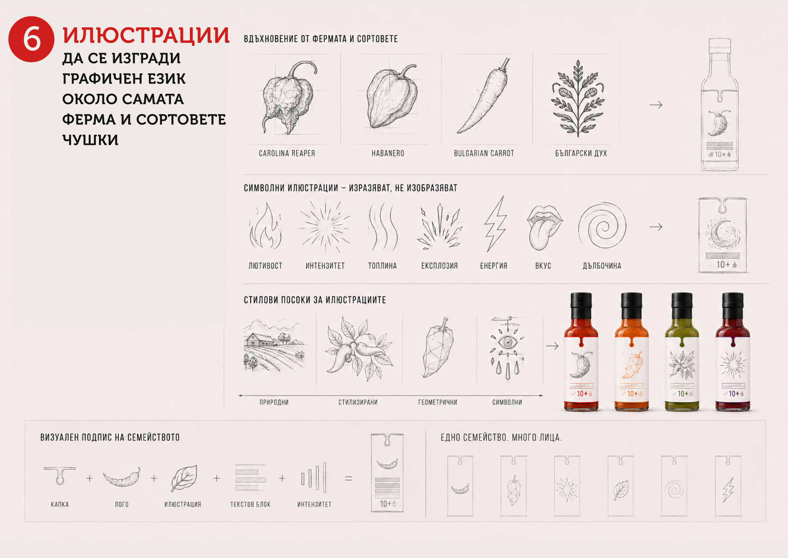 Analysis for the development of the visual communication of the HOT FARM brand