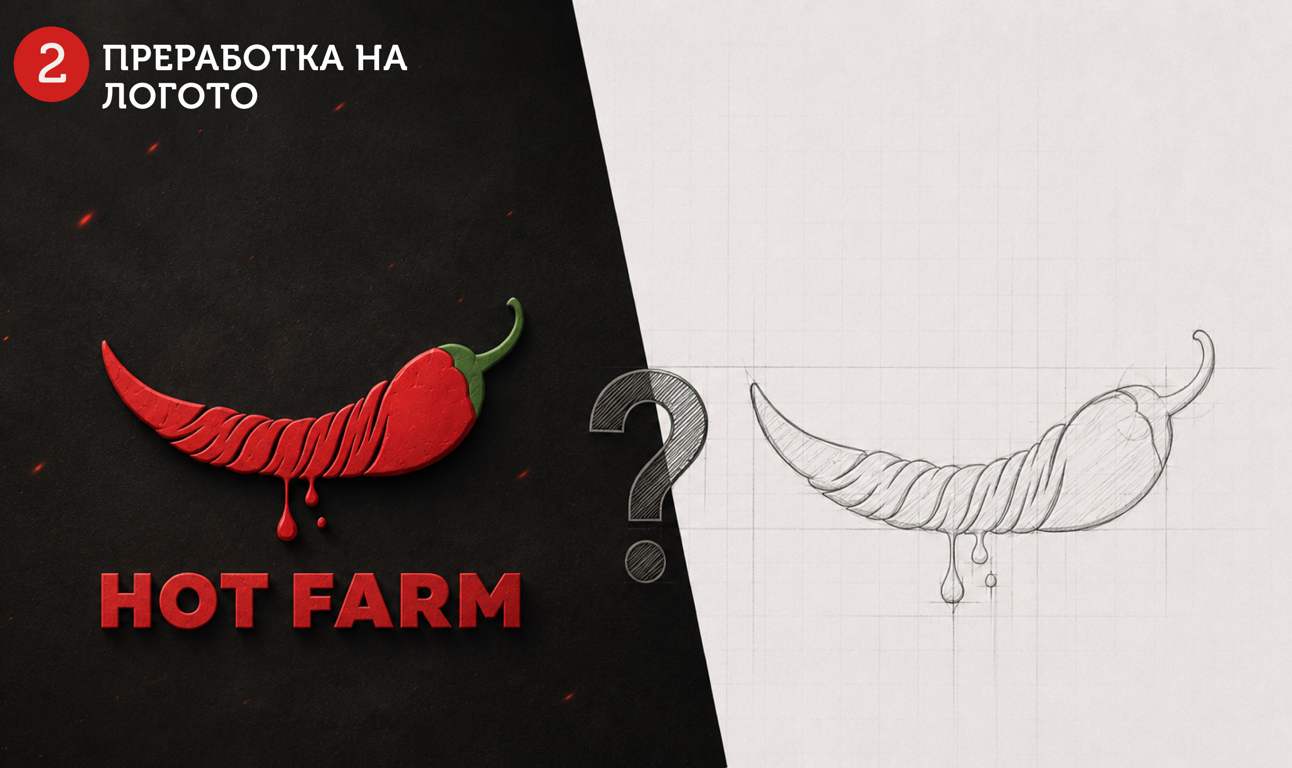 Analysis for the development of the visual communication of the HOT FARM brand