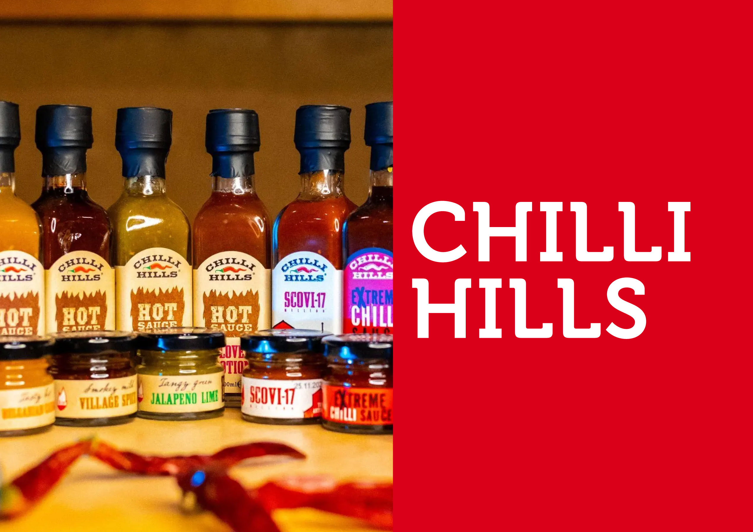 Analysis for the development of the visual communication of the HOT FARM brand