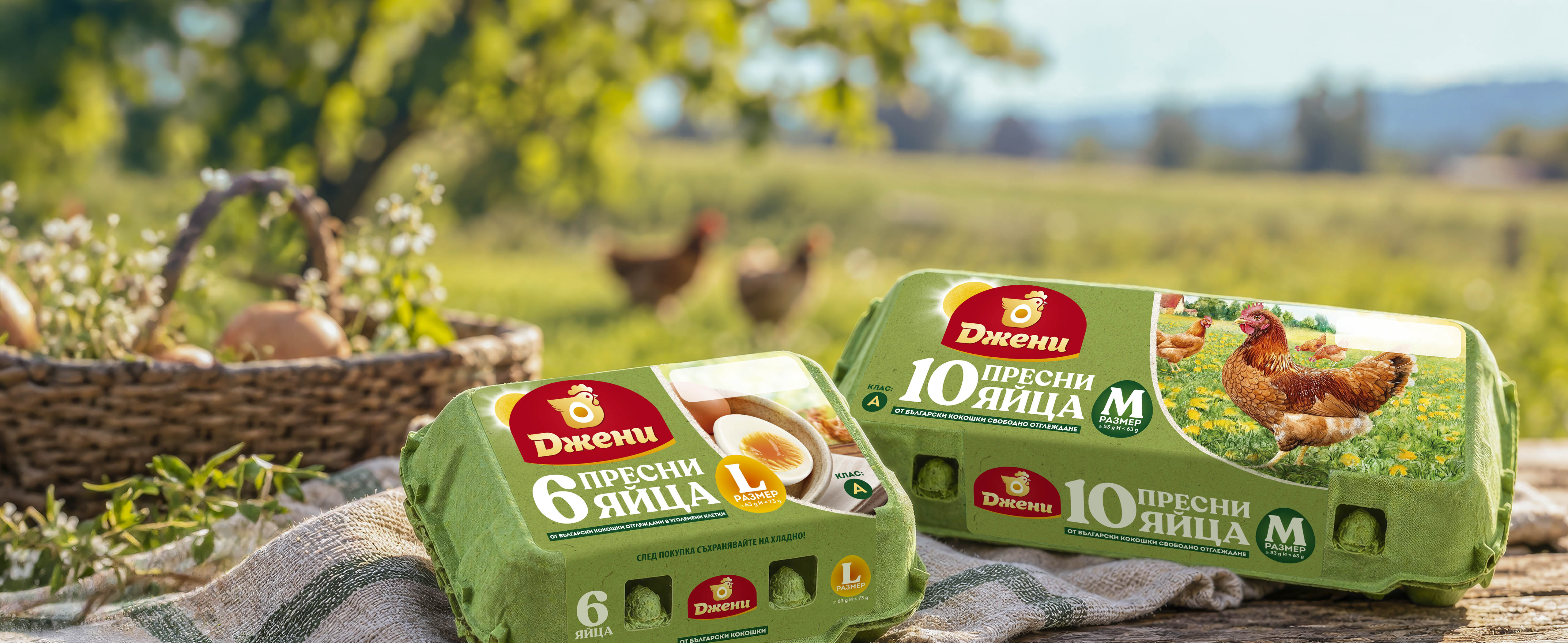 Djeni Eggs